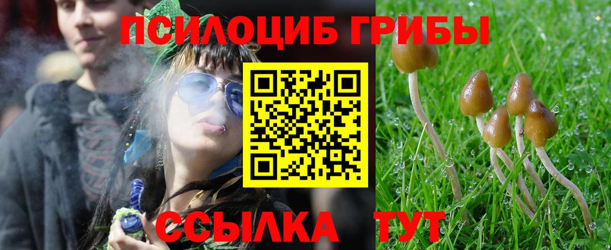 Галлюциногенные грибы Magic Shrooms Кандалакша